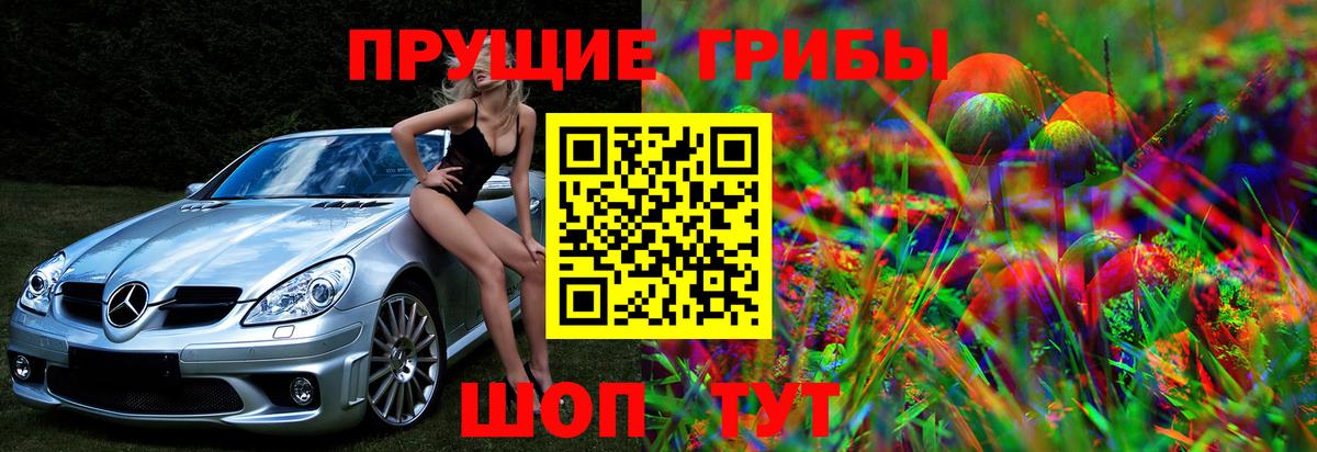 Кисловодск  Псилоцибиновые грибы Psilocybe  Вход с VPN 