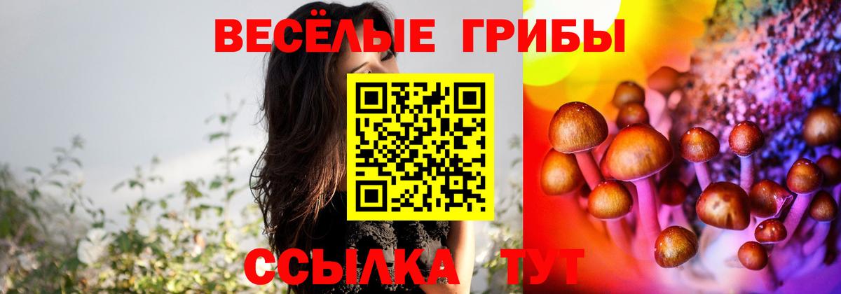 Псилоцибиновые грибы MAGIC MUSHROOMS Кисловодск